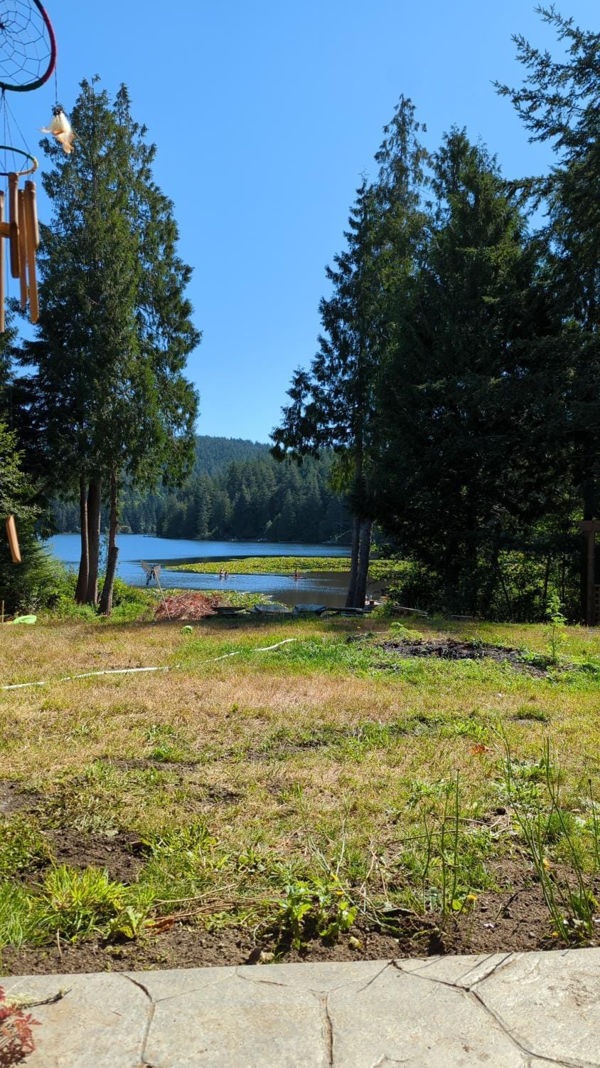 Lake view