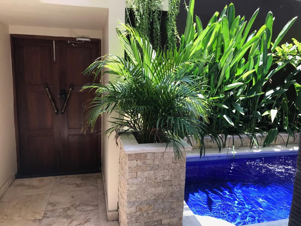 Garden view