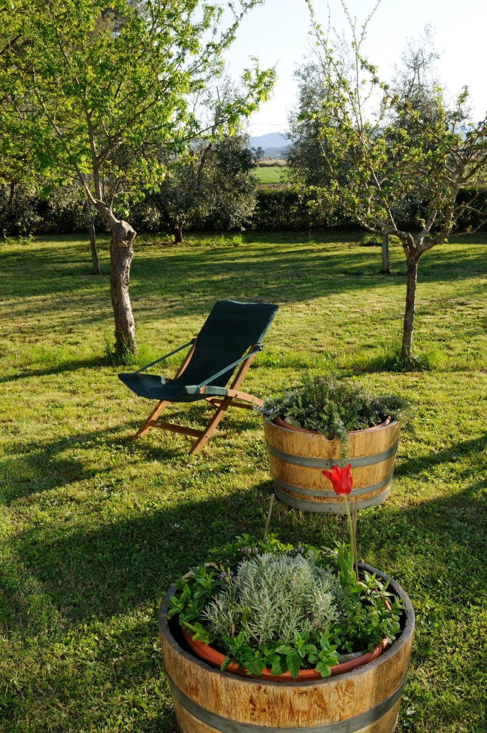 Garden view