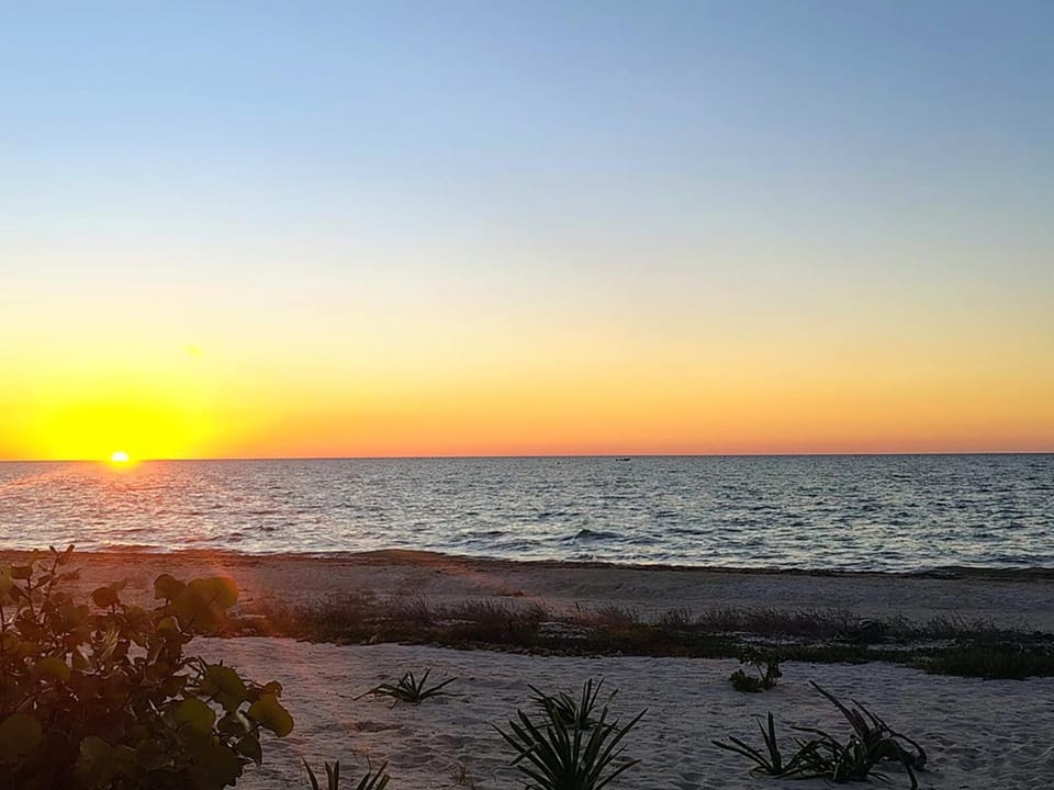 Celeste Vida Apartment hotel in State of Yucatan