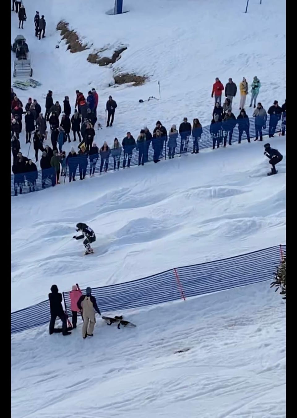 Winter, Skiing