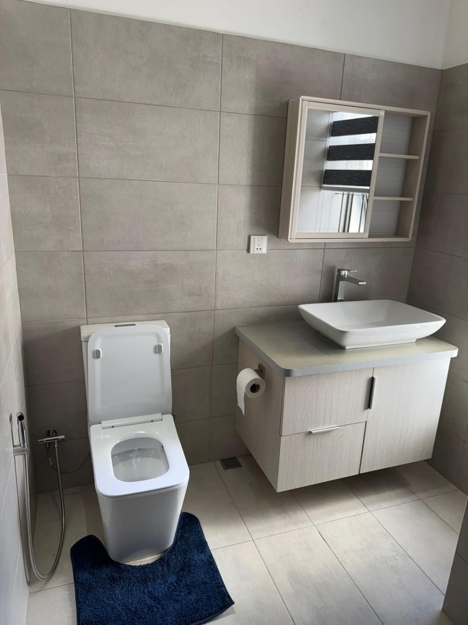 Toilet, Bathroom