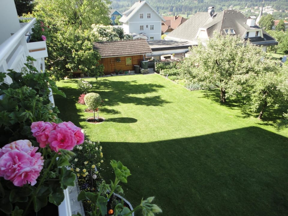 Natural landscape, Garden, View (from property/room), Garden view