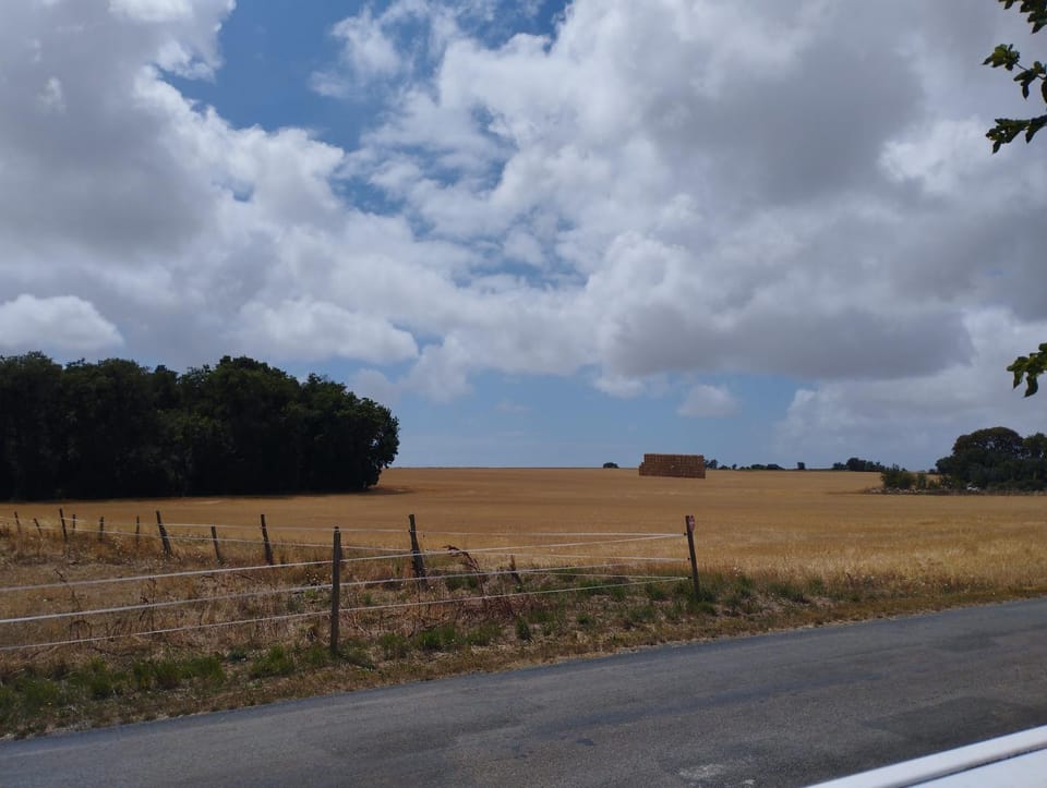 Natural landscape