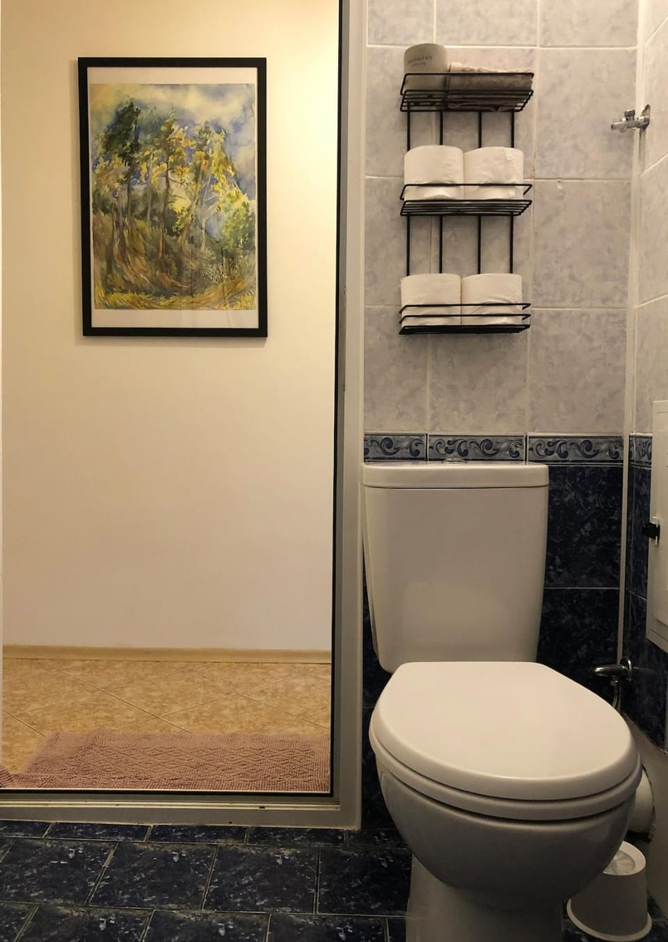 Toilet, Bathroom