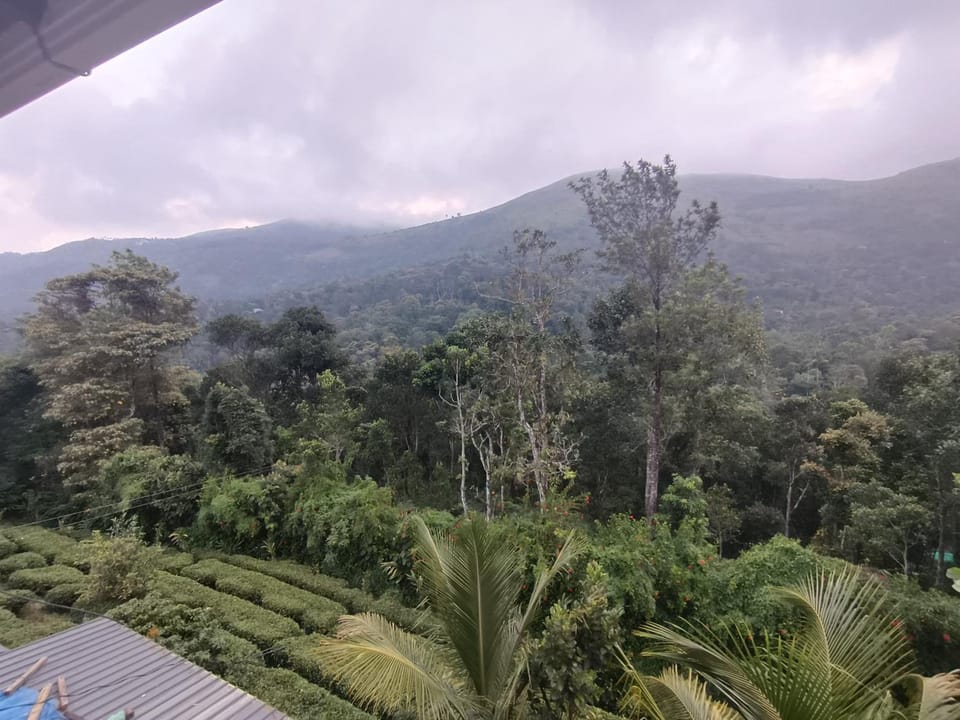 Homestay inn Vacation rental in Kerala