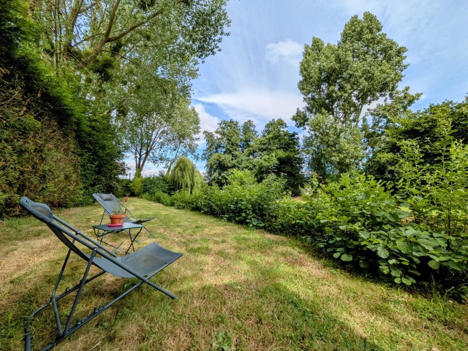 Natural landscape, Garden, Garden view, sunbed