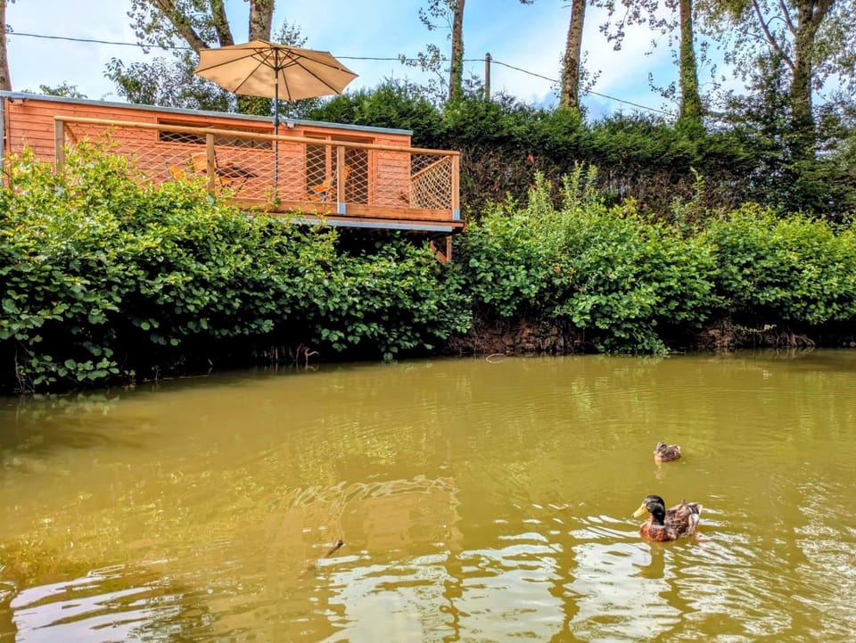 Property building, Natural landscape, Garden, Garden view, Lake view, River view