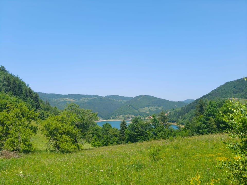 Lake view