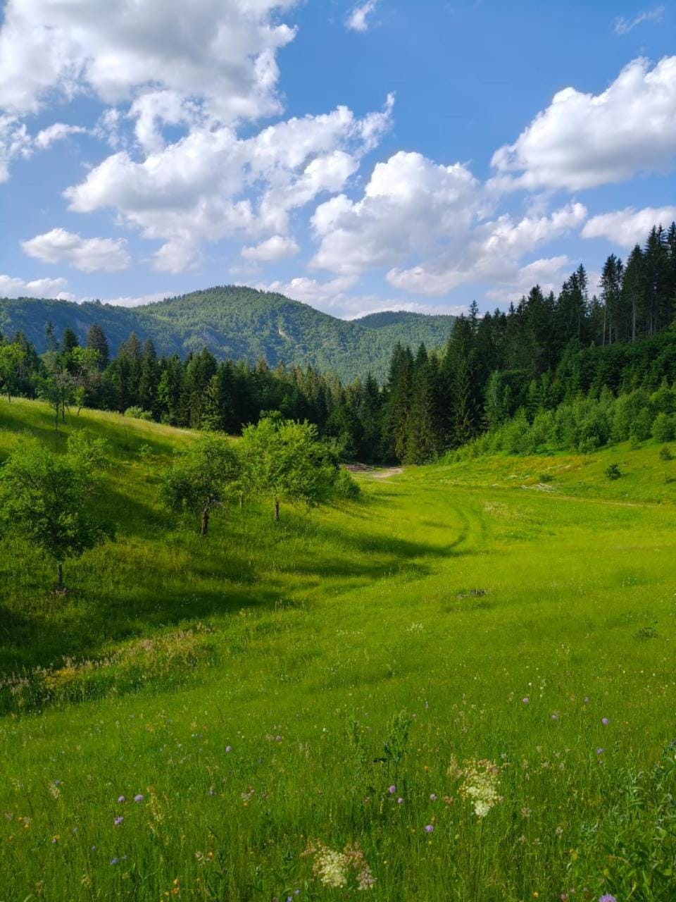 Oaza mira Zlatarsko jezero House in Zlatibor District, Serbia