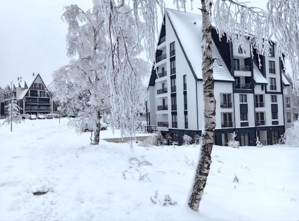Property building, Natural landscape, Winter