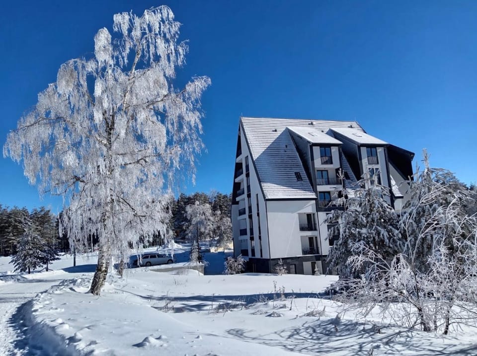 Natural landscape, Winter