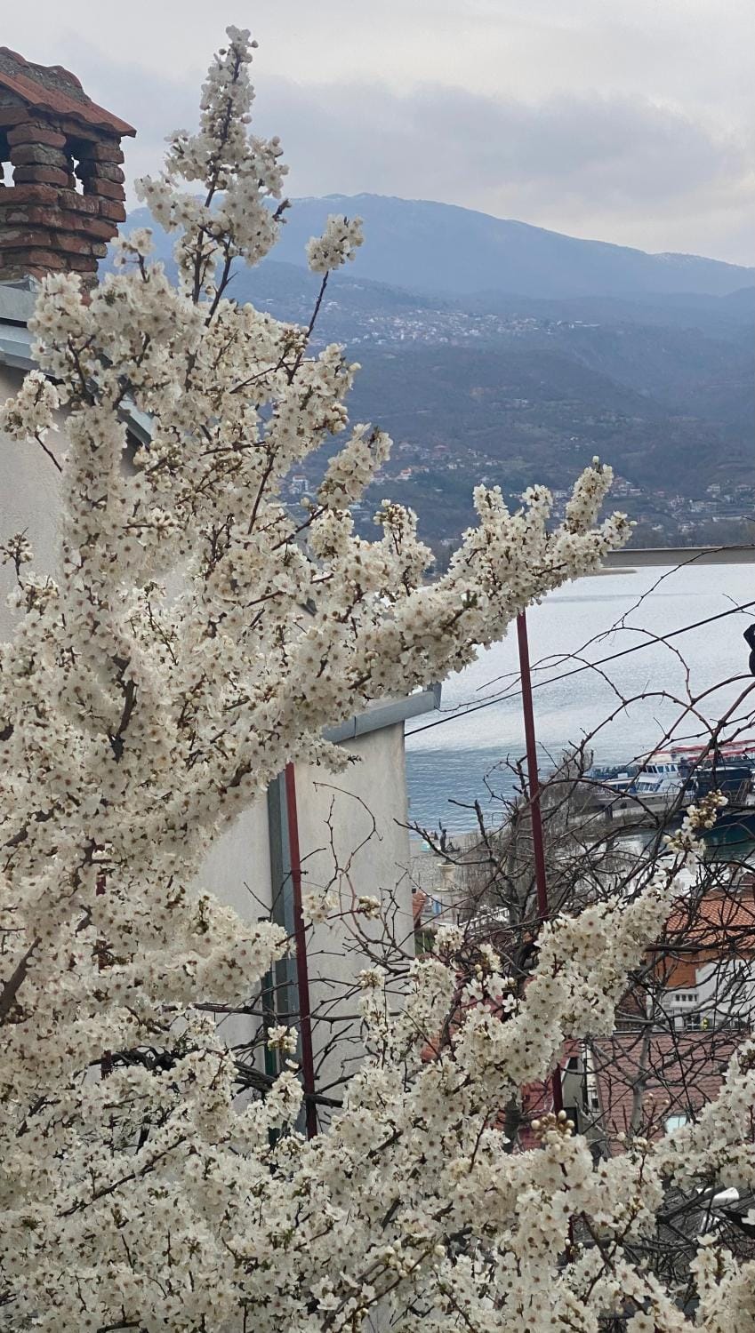 Spring, Natural landscape, Lake view, Mountain view