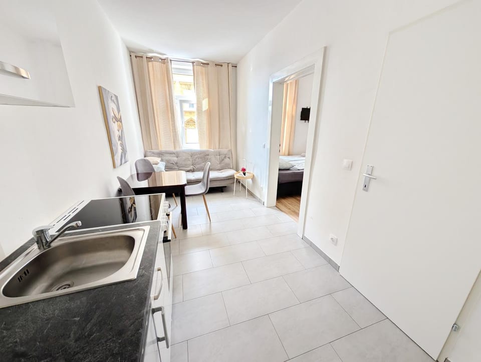 Charming Stay - Close to Vienna Attractions MZ27 Apartment in Vienna