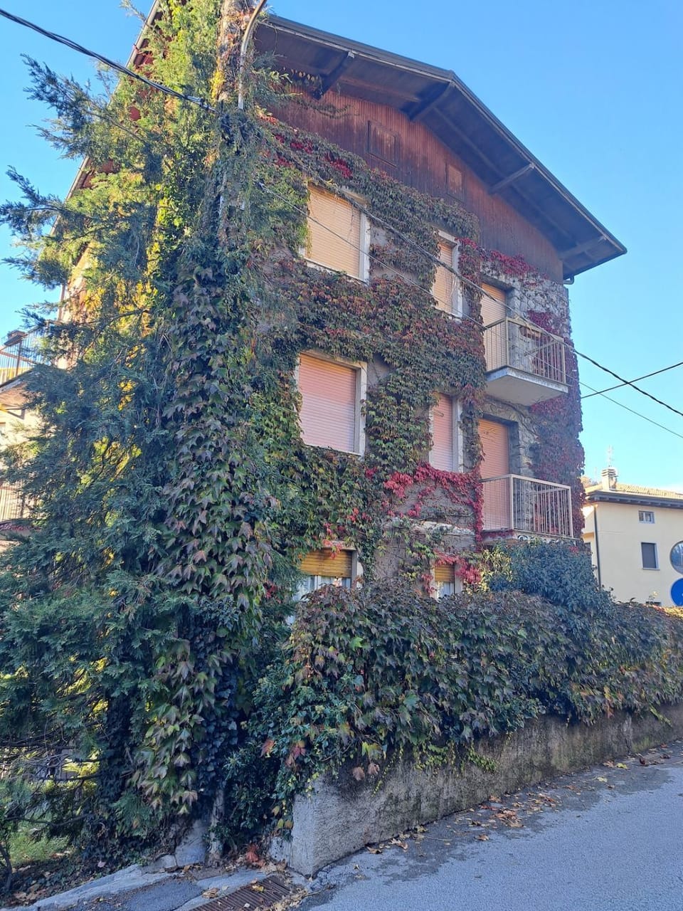 Dinky's apartment with a balcony overlooking the woods Apartment in Bellagio