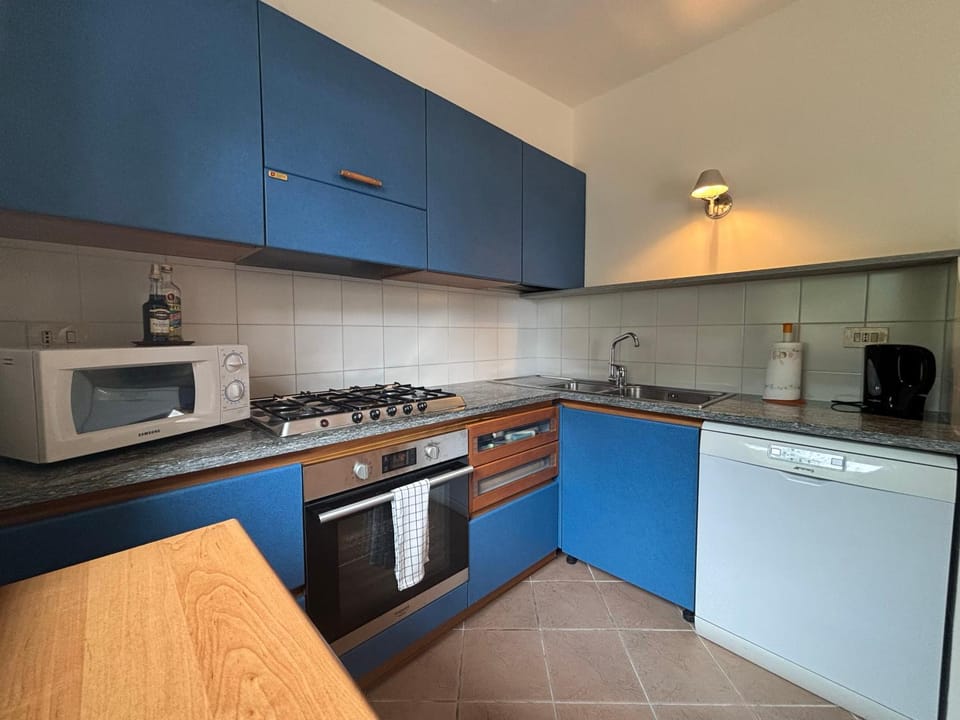 Kitchen or kitchenette, dishwasher, oven, stove