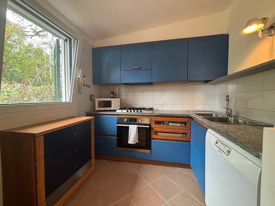 Kitchen or kitchenette, dishwasher, oven, stove