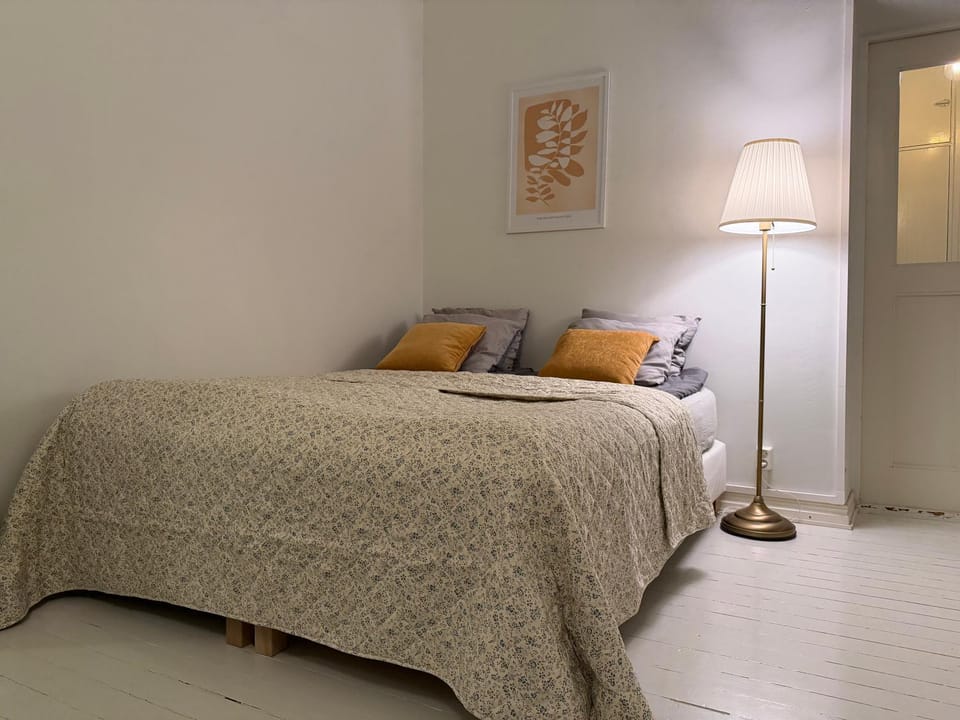 Fall for Helsinki With Elvis Vibes Free WiFi Apartment in Helsinki