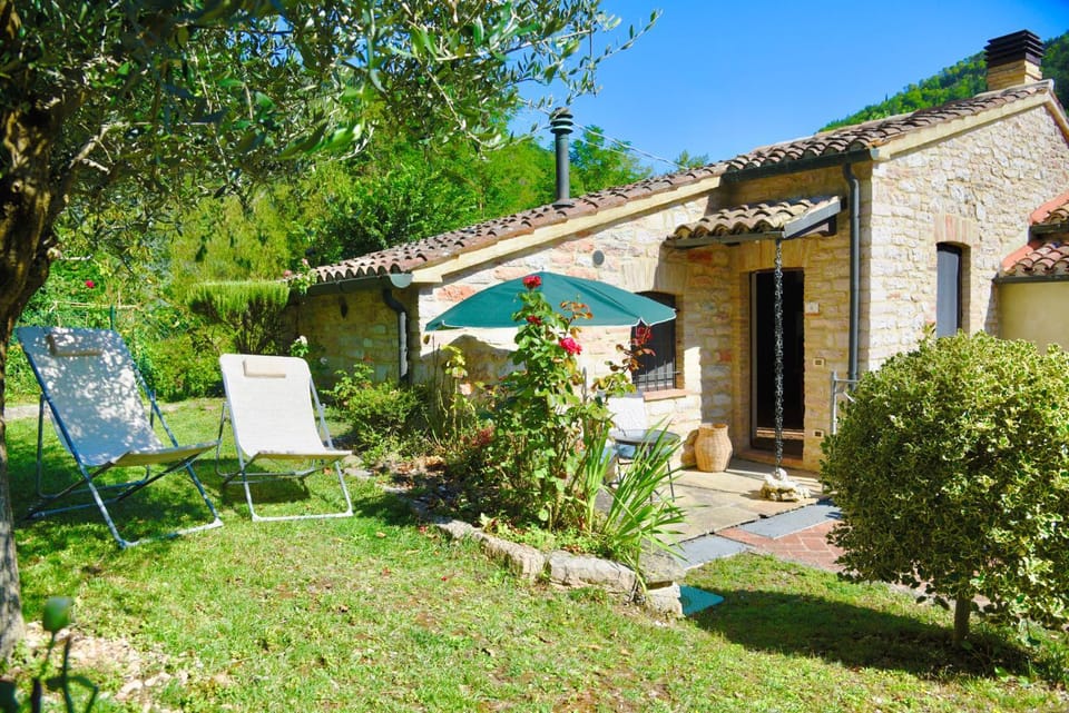 Property building, Garden view