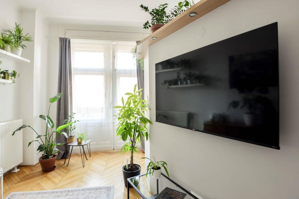 TV and multimedia, Living room