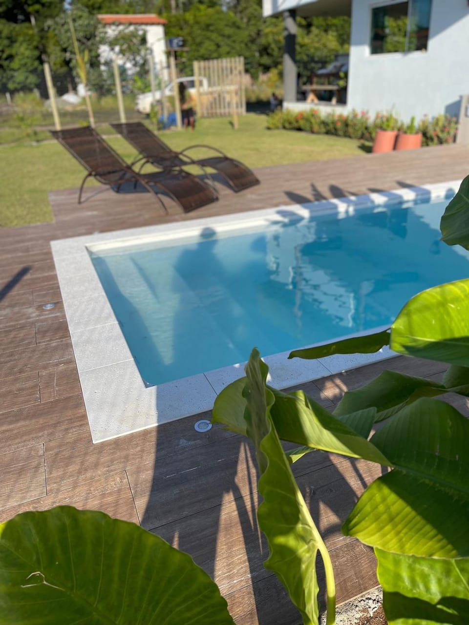 Garden, Swimming pool, Swimming pool, sunbed