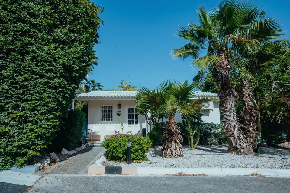 Property building, Garden, Garden view
