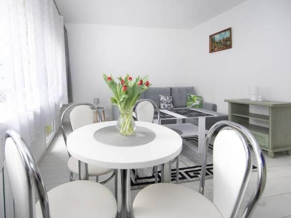 Nowakówka 2 sypialnie w centrum Stronia Śląskiego Apartment in Lower Silesian Voivodeship