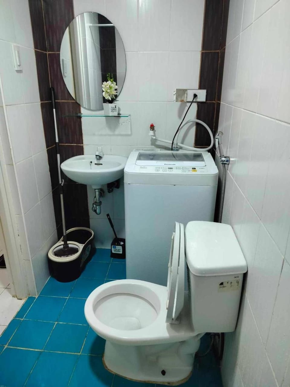 Toilet, Bathroom, washing machine