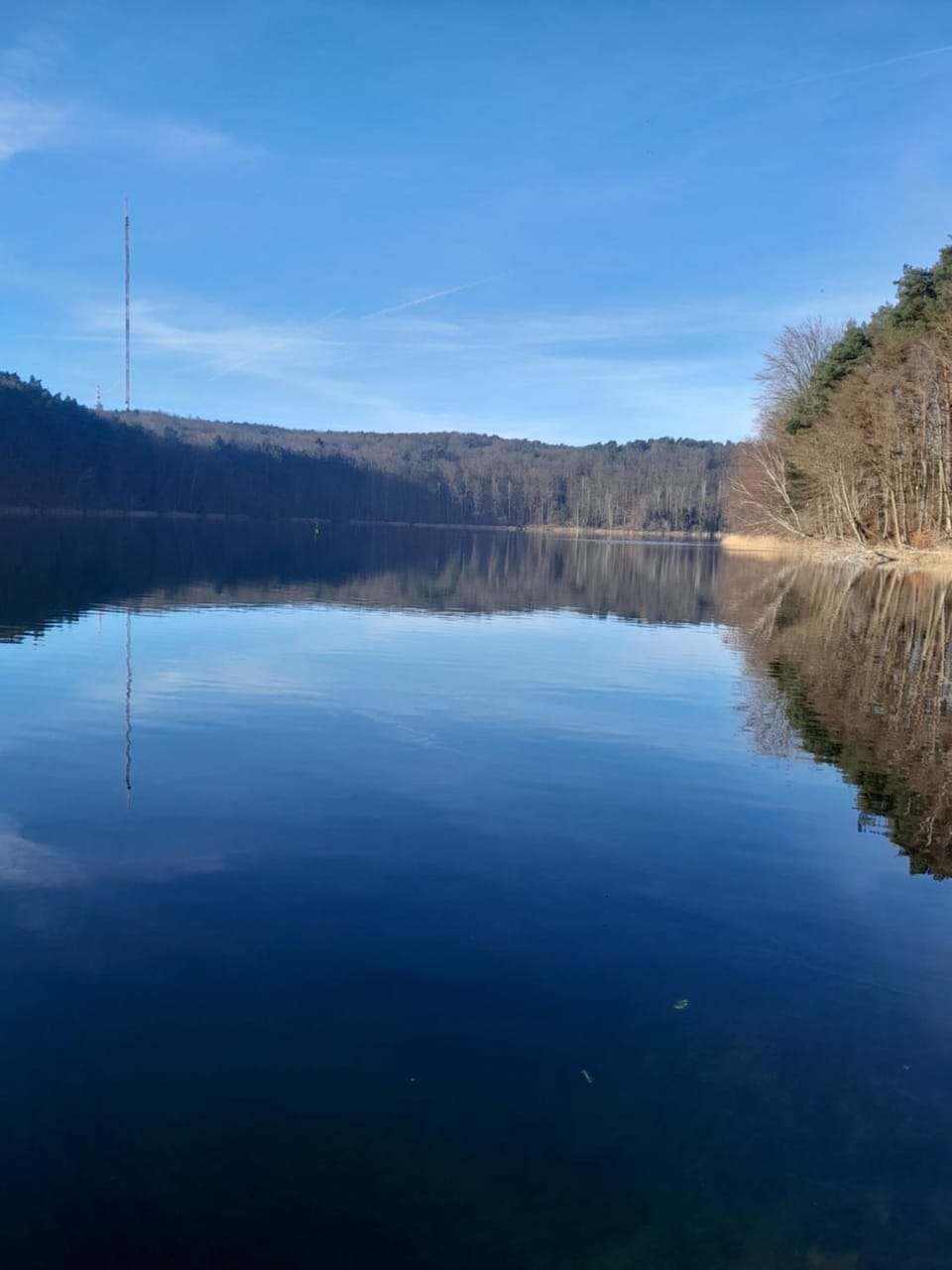 Lake view