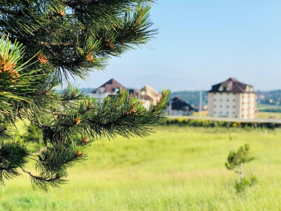 Property building, Day, Natural landscape