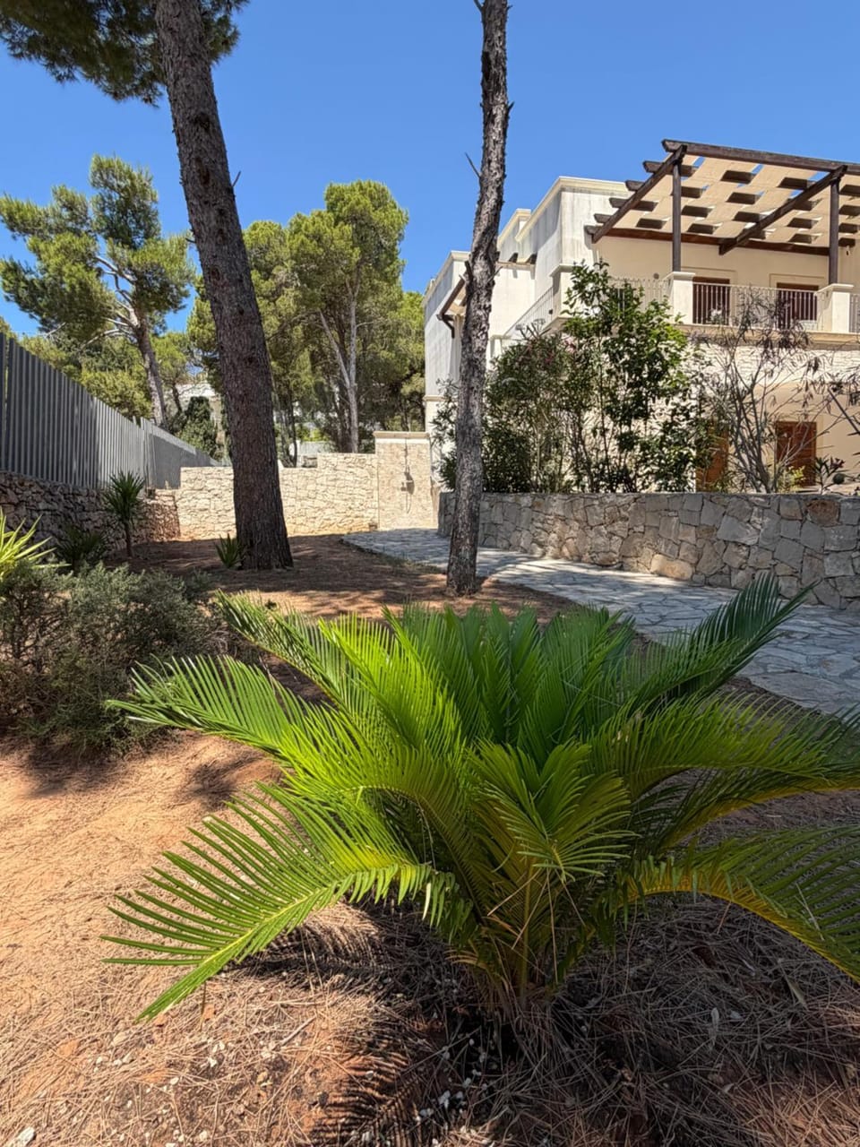 Property building, Day, Garden, Garden view