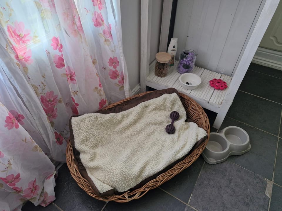 Pets, pet friendly