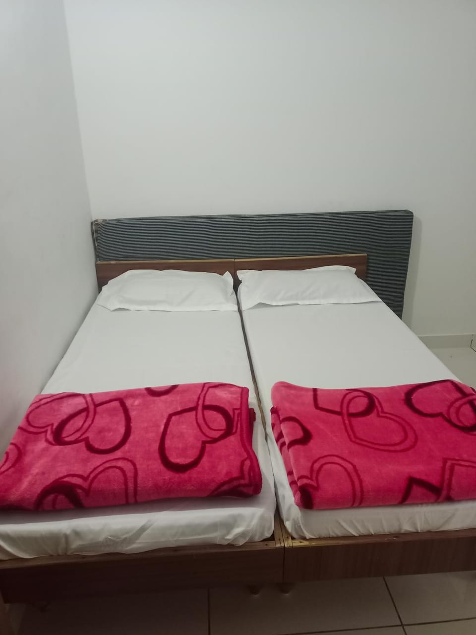 Keshav homstey femeli room Vacation rental in Gujarat