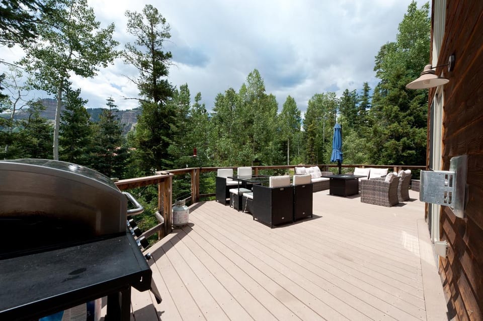 94 Ponderosa Way House in La Plata County
