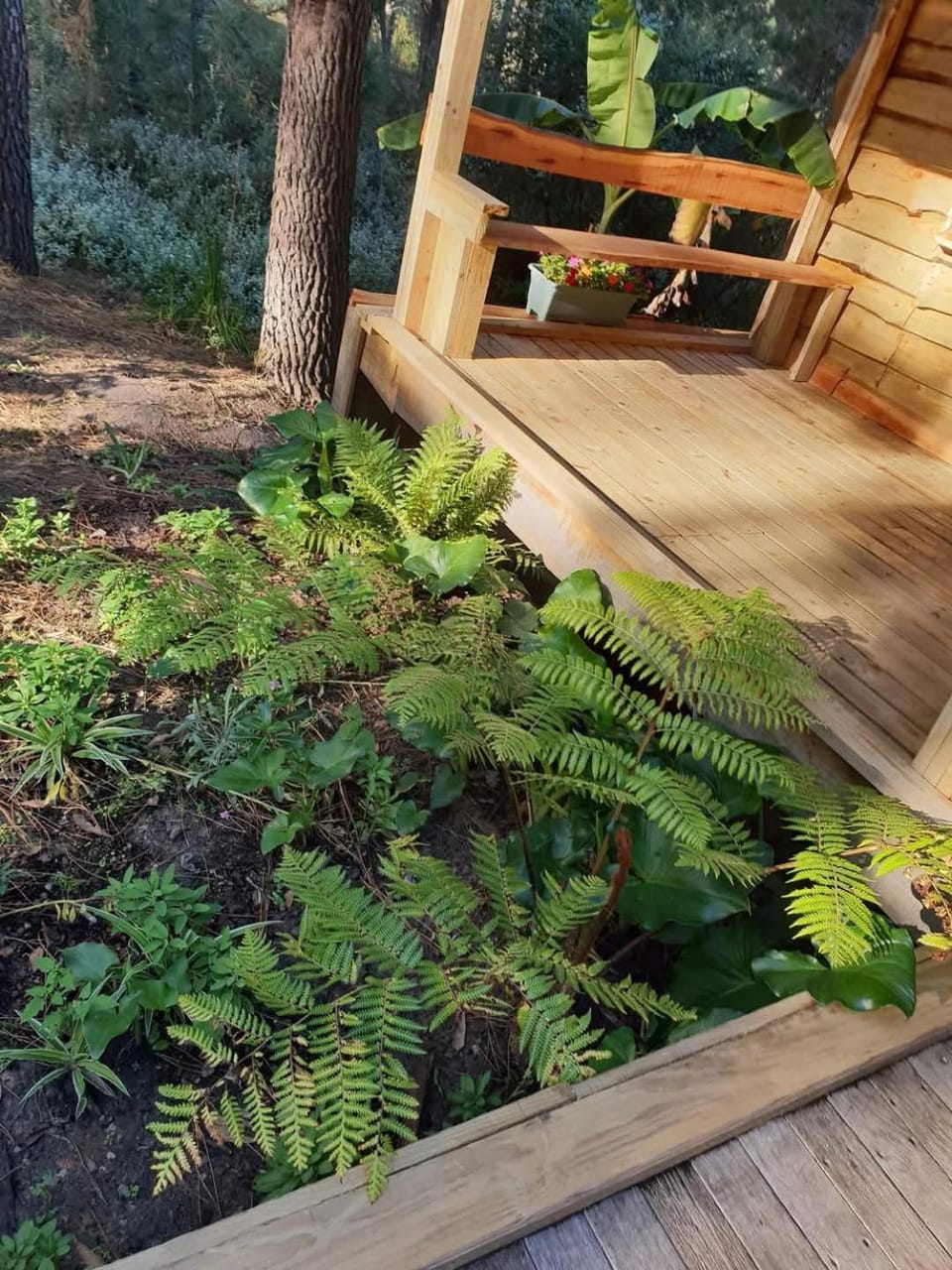 Garden, Garden view