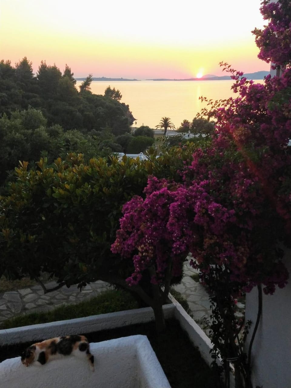 Sea view, Sunset