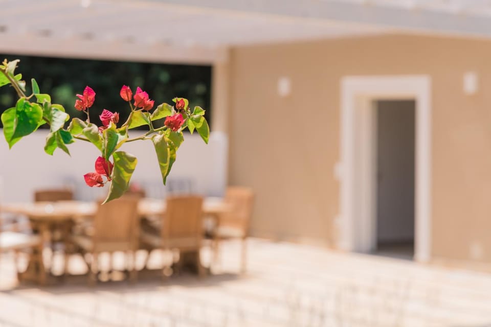 Garden, Dining area