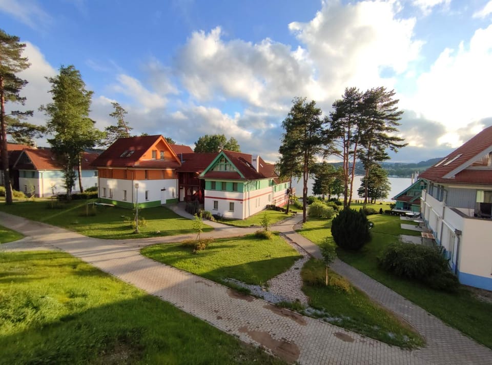 Lake view