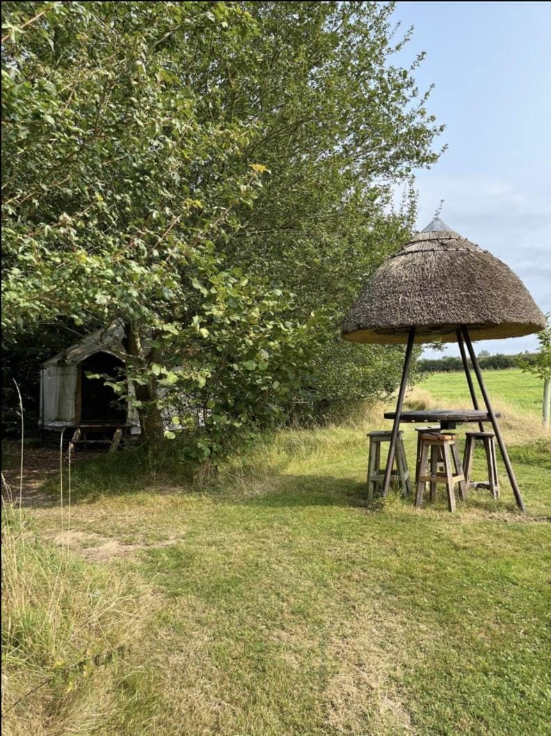 Handcrafted grain-store yurt in Somerset woodland Luxury tent in South Somerset District