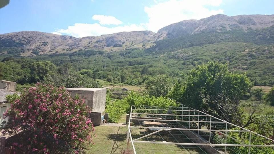 Garden view, Mountain view