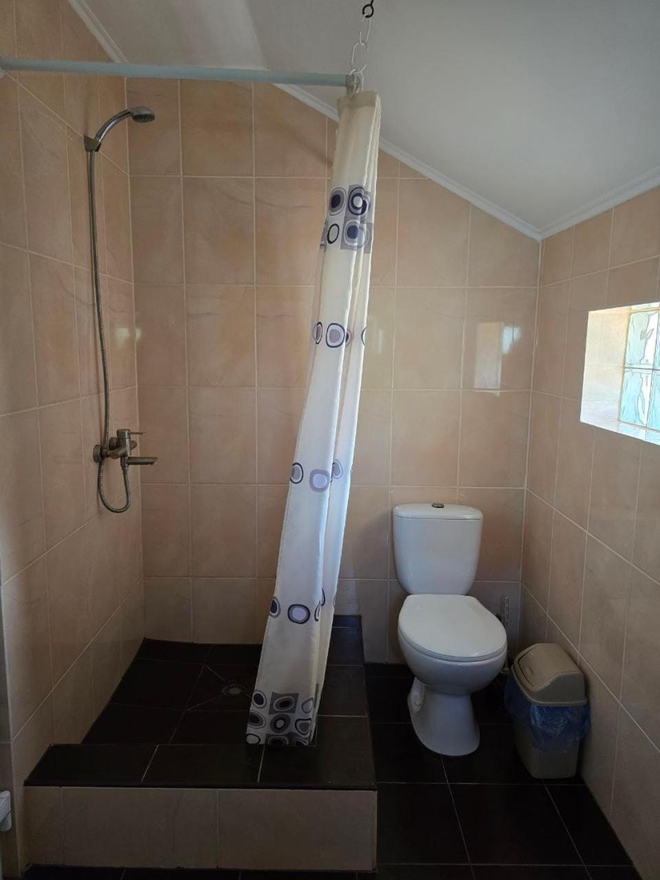 Shower, Toilet