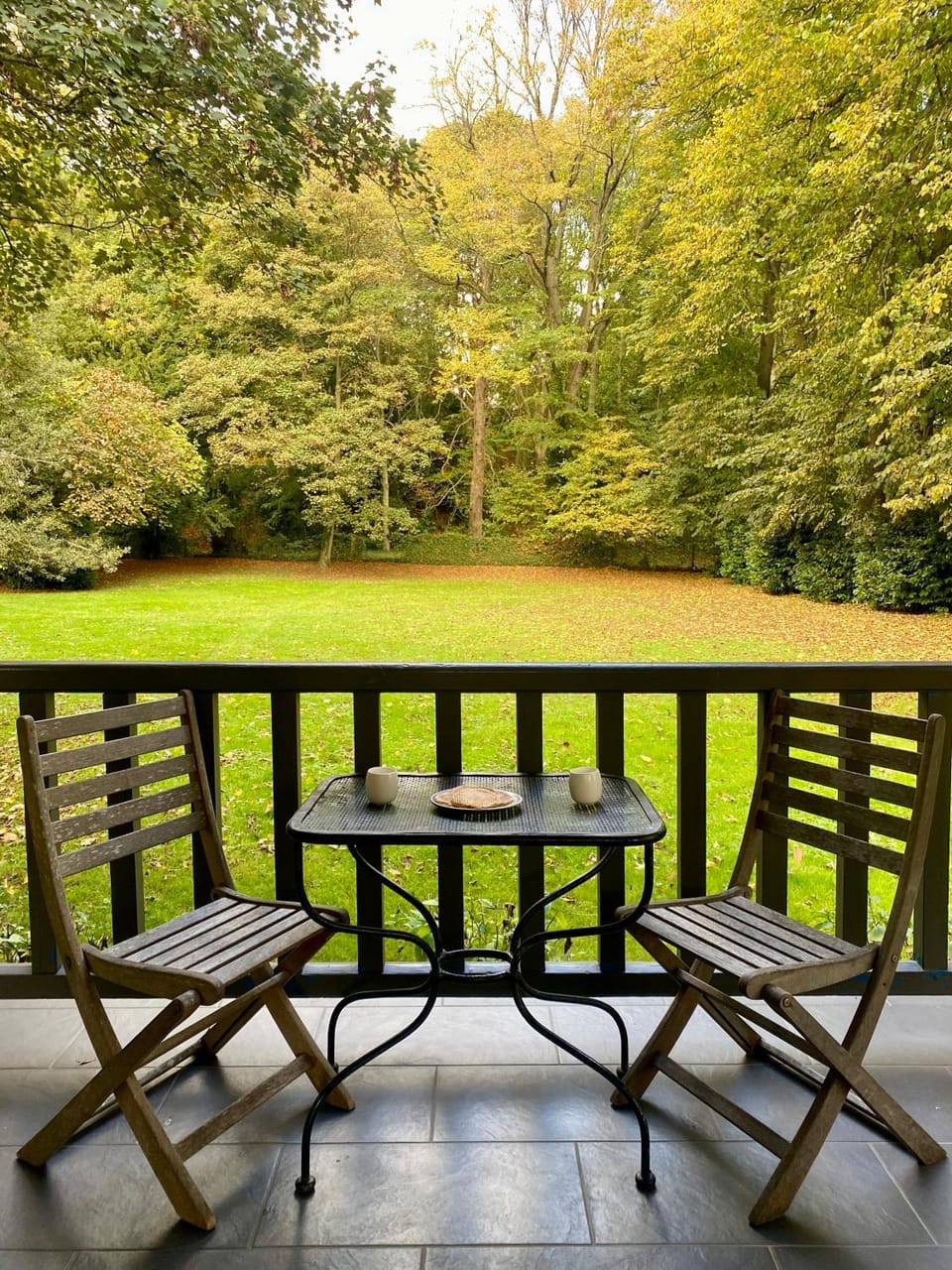Patio, Garden, Garden view