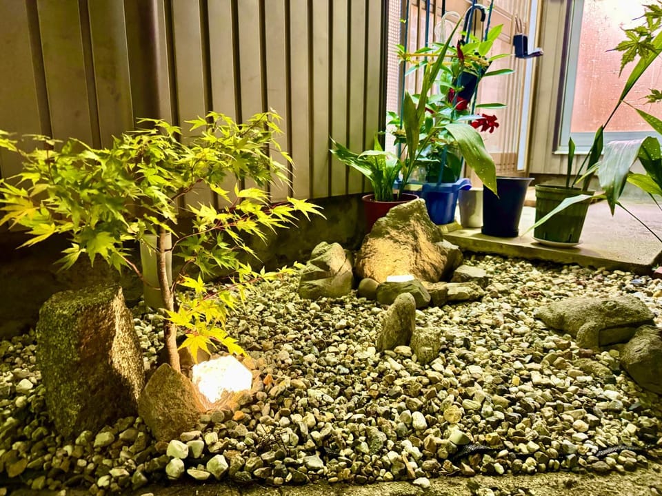Garden view