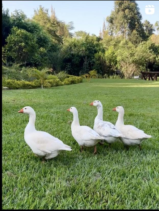 Sarayu Wellness Institute Nature lodge in Nairobi