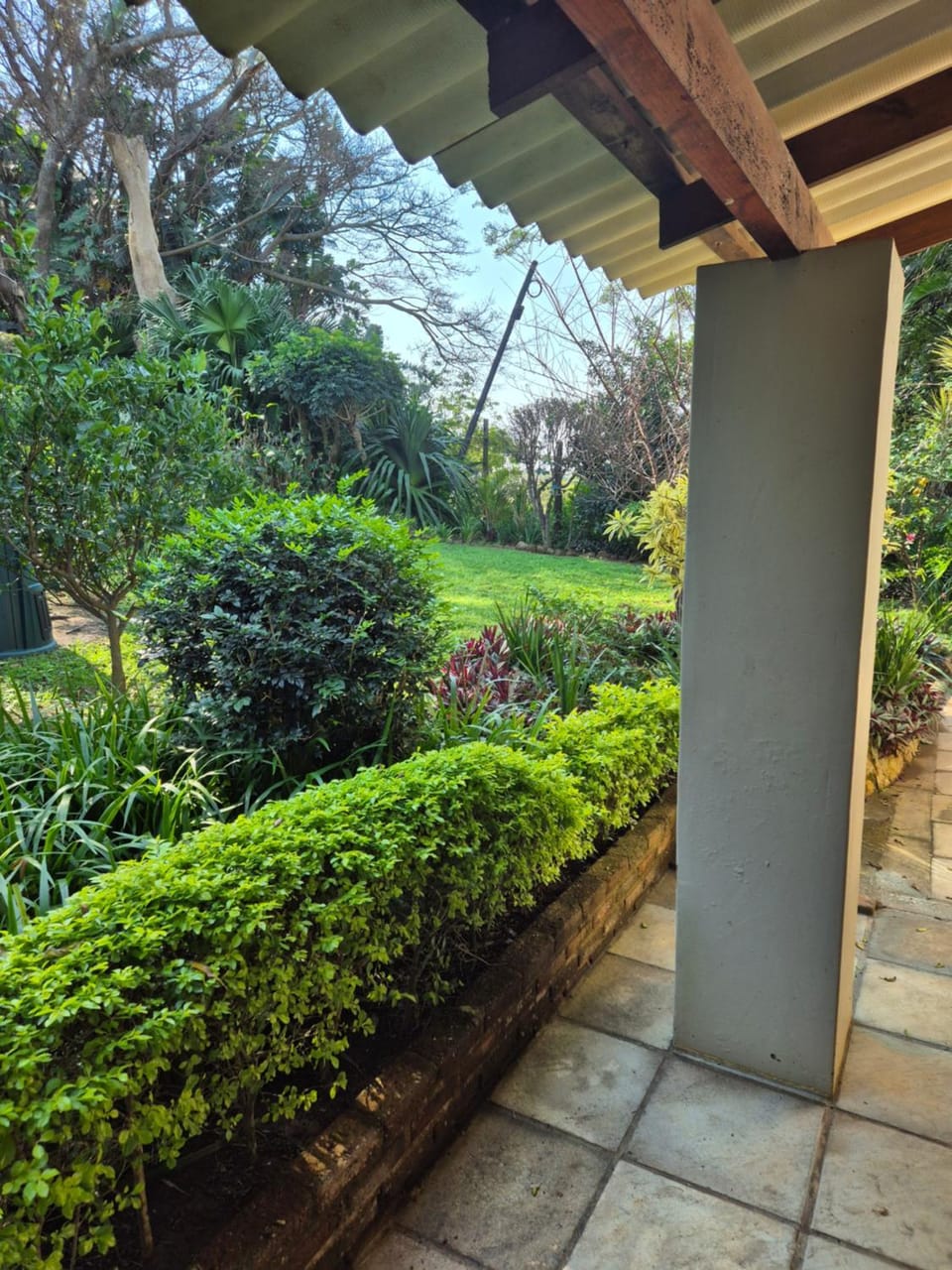 Garden view