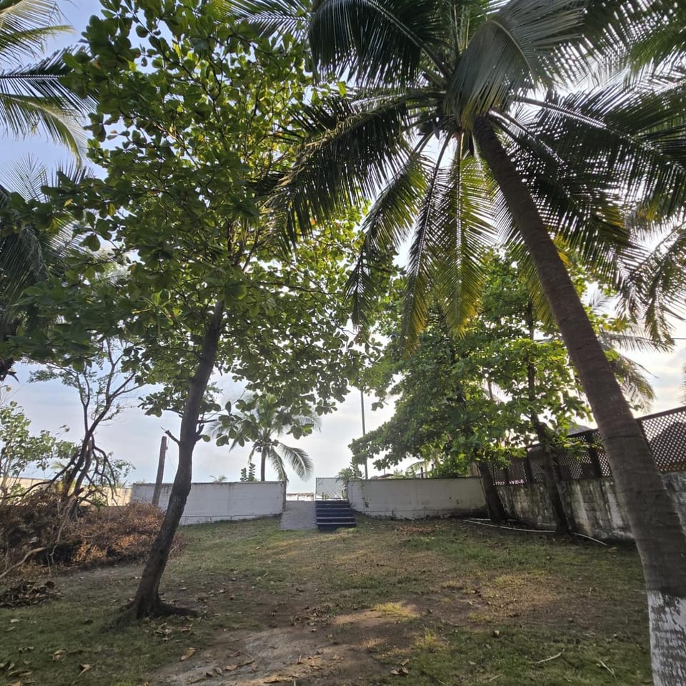 Garden, Garden view