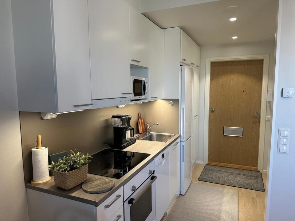 Coffee/tea facilities, Kitchen or kitchenette, oven