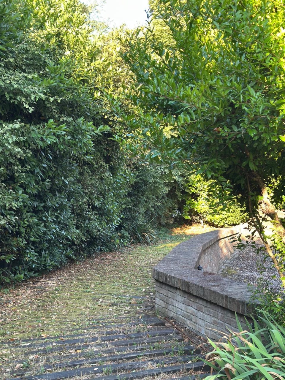 Garden, Garden view