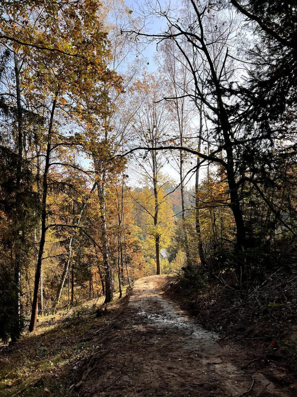 Day, Natural landscape