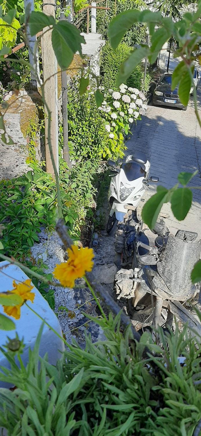 Flora's Guesthouse 'The Fir Gate' Bed and Breakfast in Vlorë County, Albania
